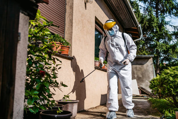 Best Residential Pest Control  in Basin, WY