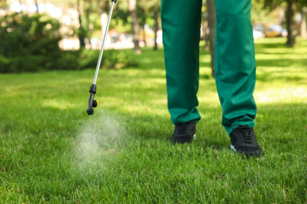 Best Emergency Pest Control  in Basin, WY