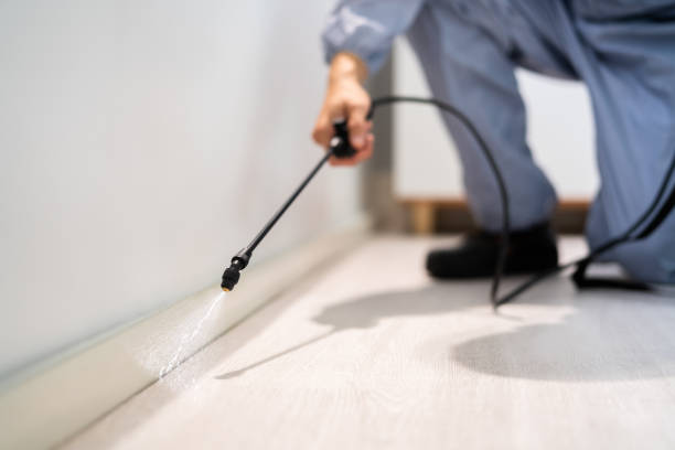 Flea Control Services in Basin, WY