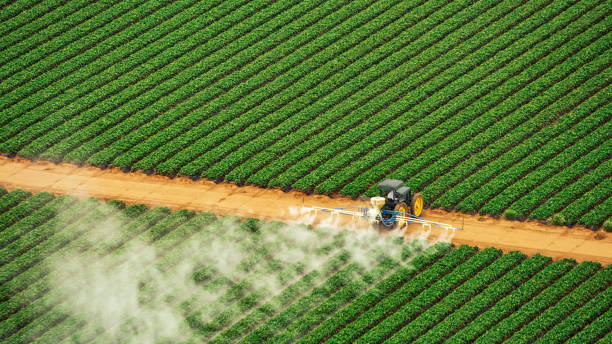 Best Commercial Pest Control Services  in Basin, WY