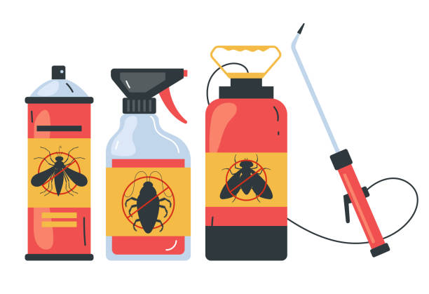 Best Wasp Removal Services  in Basin, WY